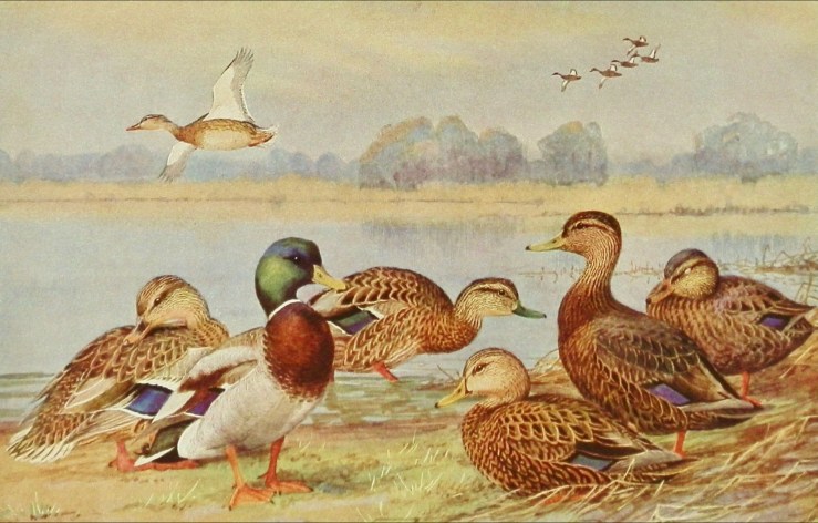 This image has an empty alt attribute; its file name is 35dcf6ab-cdfd-4a63-b66b-d5a8ea04cf29.jpeg